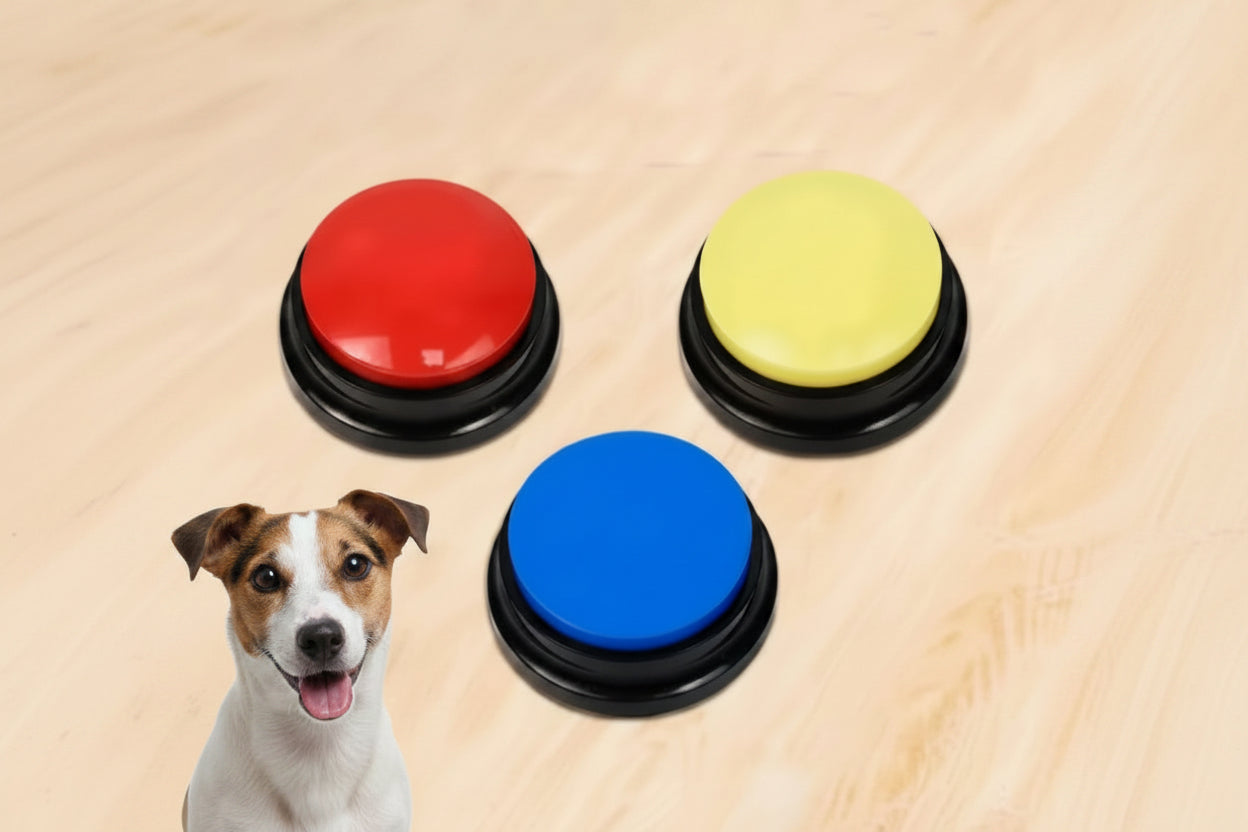 Boutons Apprentissage Vocaux Chien Chat – Lot 4 – Parlez