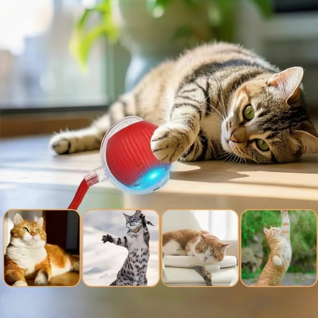 Balle Interactive USB-C Chat – Queue Agitée 3 Coloris