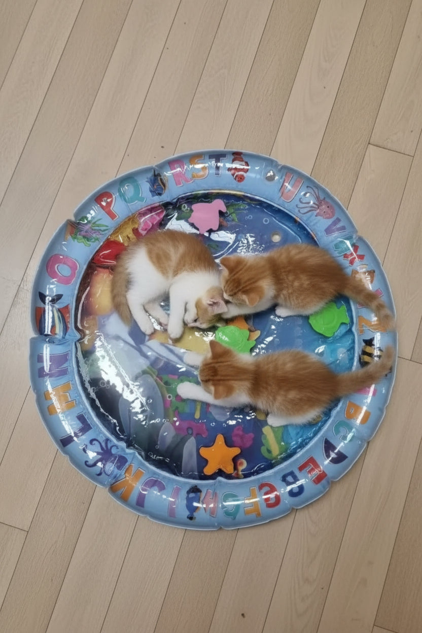 Tapis de Jeu Interactif Chat – Poissons Mobiles 65x65cm