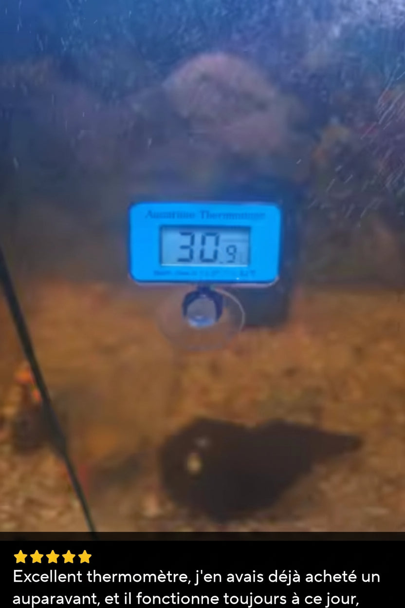 Thermomètre Digital LCD Aquarium – Immersible Précis