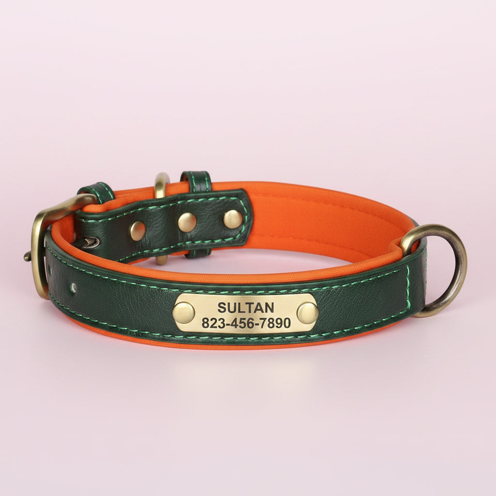 Collier Cuir Personnalisé Chien – Gravure Nom & Tél
