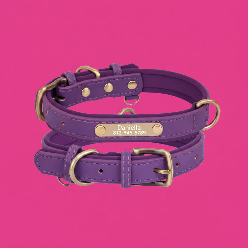 Collier Cuir Personnalisé Chien – Gravure Nom & Tél