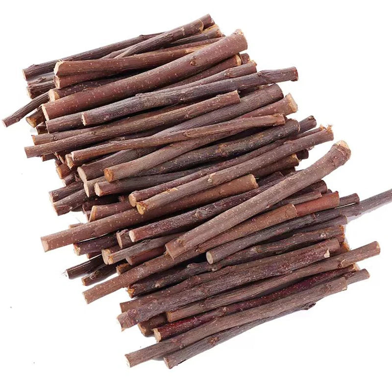 Fagots de Bois de Noisetier Naturel pour Rongeurs — Soin Dentaire & Enrichissement