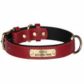 Collier Cuir Personnalisé Chien – Gravure Nom & Tél