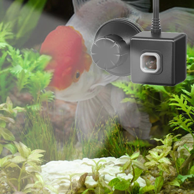 Juwel SmartCam : Caméra de Surveillance Wi-Fi HD pour Aquarium et Vivarium
