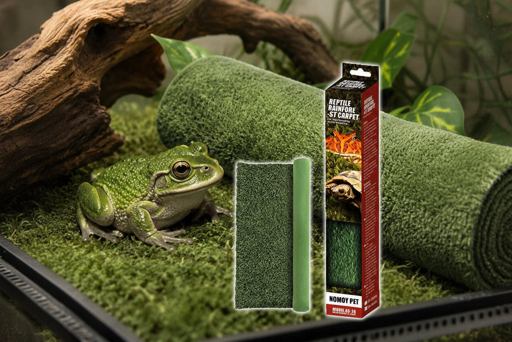 Tapis de Sol "Forêt Tropicale" pour Terrarium