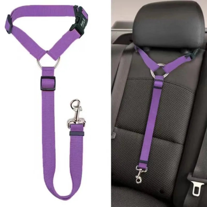 Ceinture Sécurité Voiture Chien – Fixation Universelle