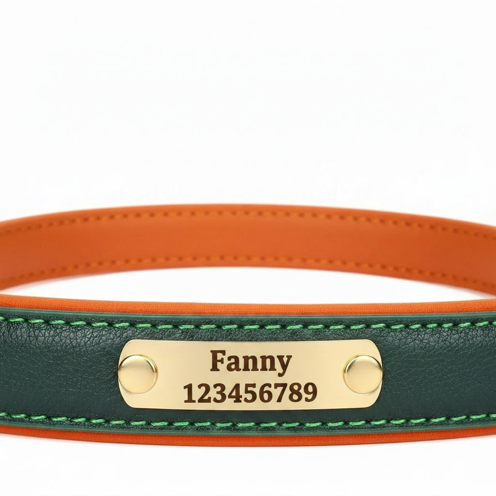 Collier Cuir Personnalisé Chien – Gravure Nom & Tél