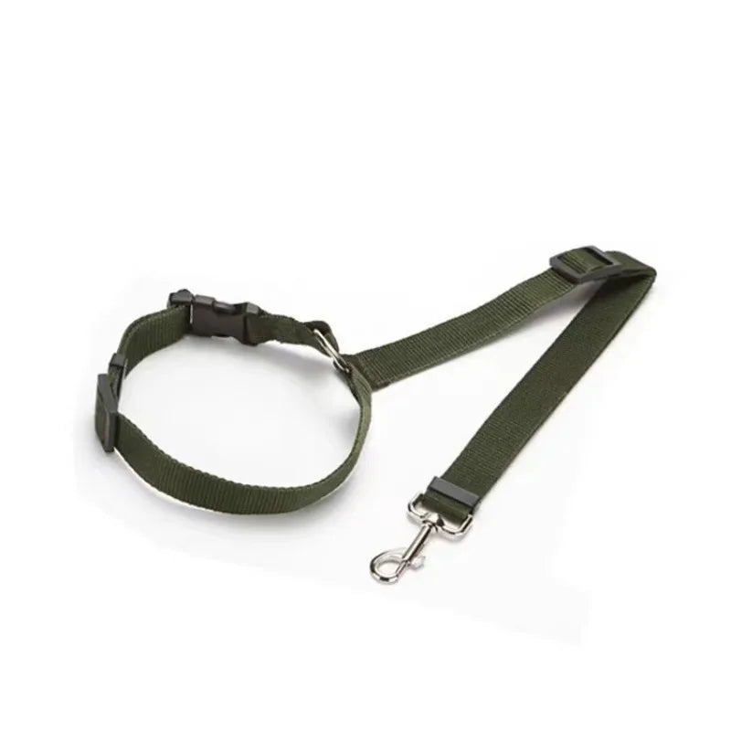 Ceinture Sécurité Voiture Chien – Fixation Universelle