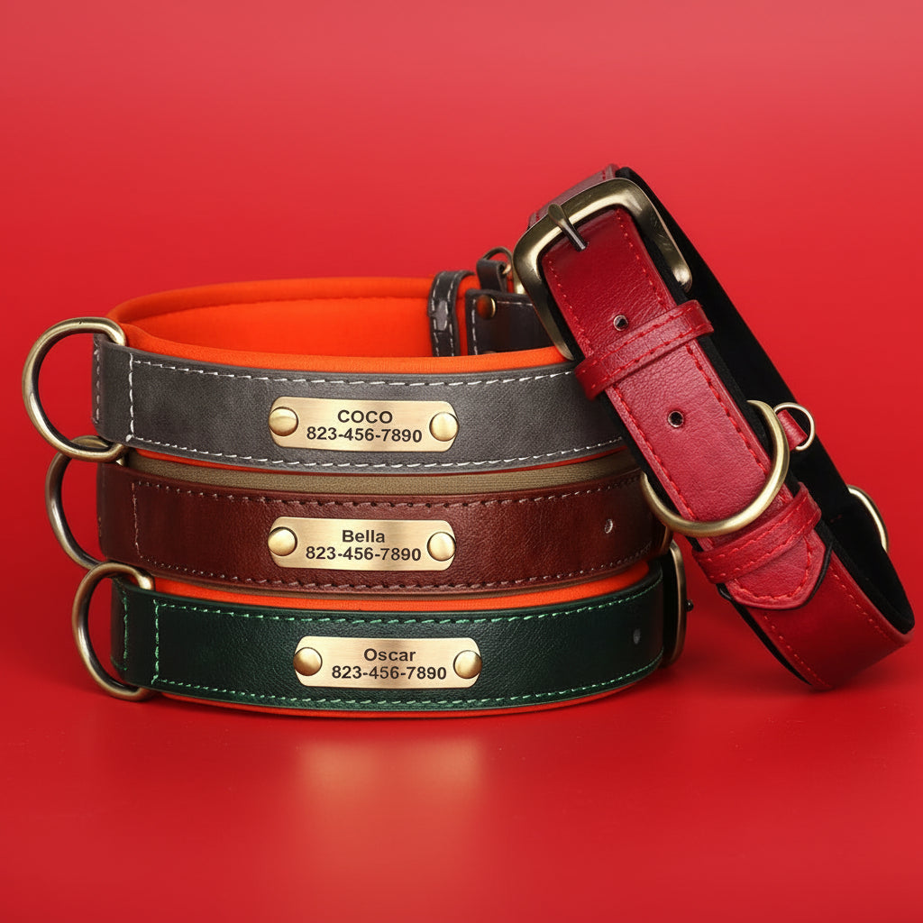Collier Cuir Personnalisé Chien – Gravure Nom & Tél