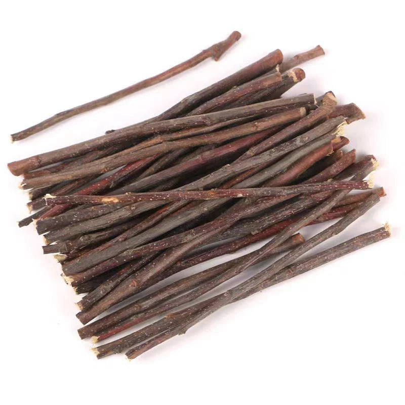 Fagots de Bois de Noisetier Naturel pour Rongeurs — Soin Dentaire & Enrichissement