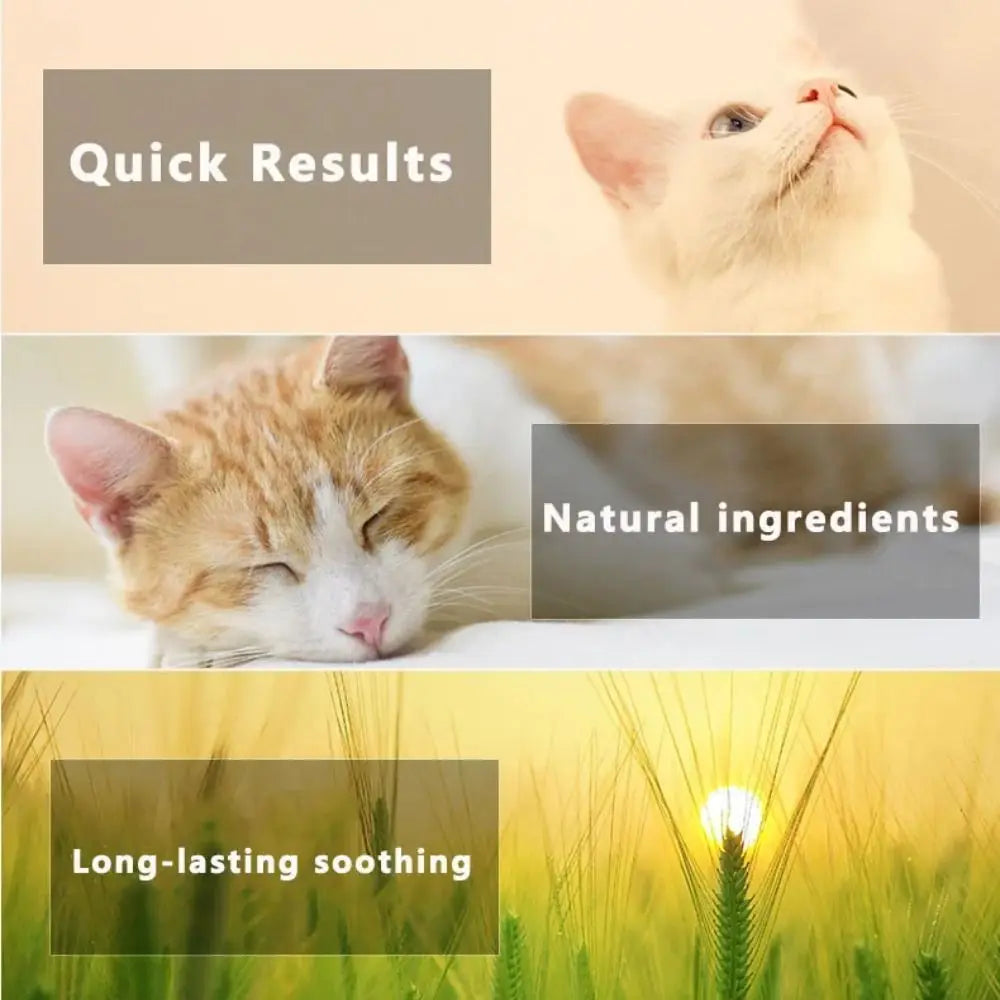 Collier Apaisant Anti-Stress pour Chien et Chat – Phéromones Naturelles, Ajustable, Sécurité Déclenchement Rapide
