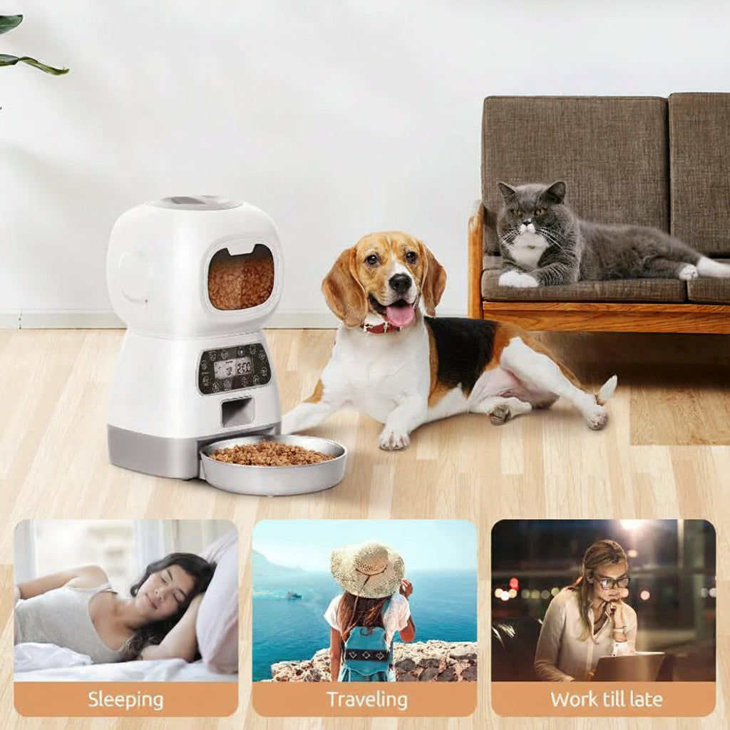 Distributeur Automatique de Croquettes pour Chat et Chien Connecté Wifi - ZYfeeder - Programmable via App, Gamelle Inox, Double Alimentation - Idéal Vacances et Travail