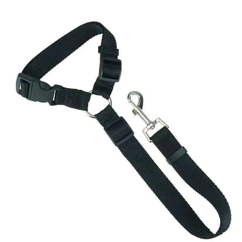 Ceinture Sécurité Voiture Chien – Fixation Universelle