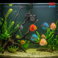 Juwel SmartCam : Caméra de Surveillance Wi-Fi HD pour Aquarium et Vivarium