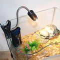 Pack Terrarium Reptile – Lampe Chauffante + Thermomètre-Hygromètre