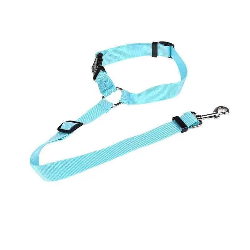 Ceinture Sécurité Voiture Chien – Fixation Universelle