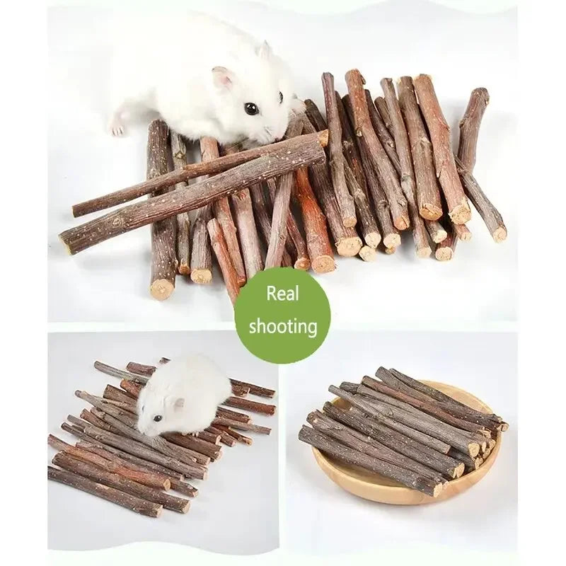 Fagots de Bois de Noisetier Naturel pour Rongeurs — Soin Dentaire & Enrichissement