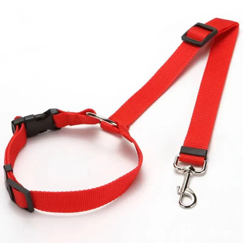 Ceinture Sécurité Voiture Chien – Fixation Universelle