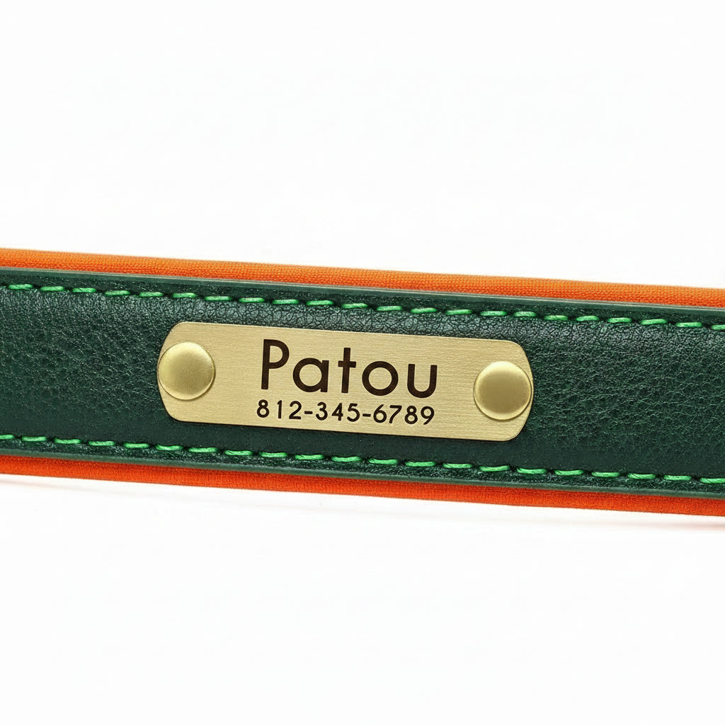 Collier Cuir Personnalisé Chien – Gravure Nom & Tél