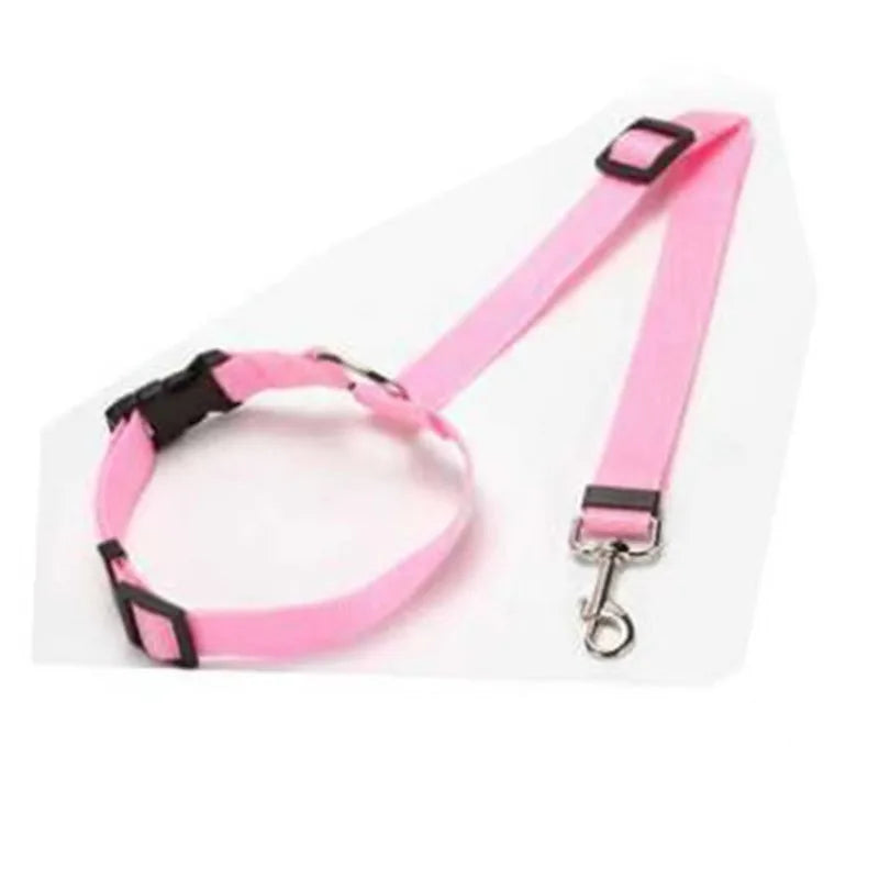 Ceinture Sécurité Voiture Chien – Fixation Universelle