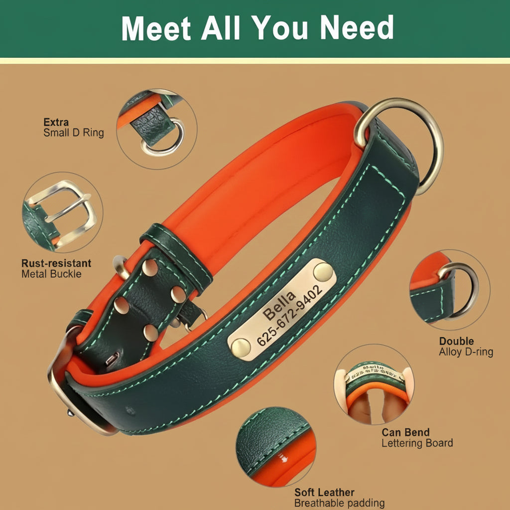 Collier Cuir Personnalisé Chien – Gravure Nom & Tél
