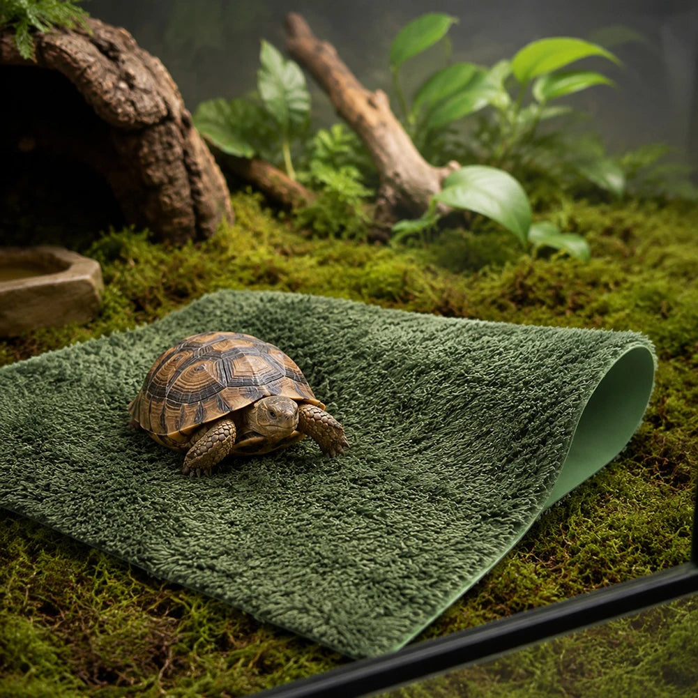 Tapis de Sol "Forêt Tropicale" pour Terrarium