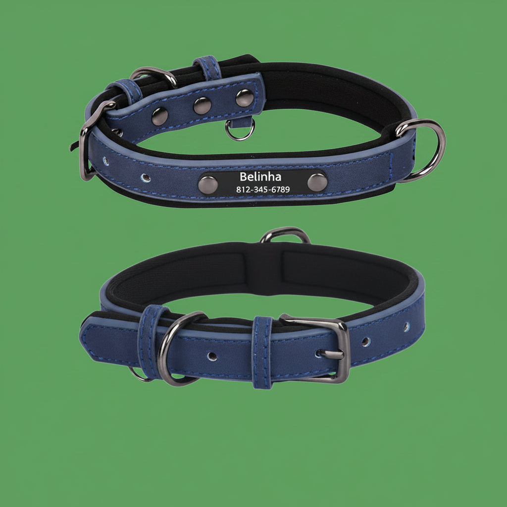 Collier Cuir Personnalisé Chien – Gravure Nom & Tél
