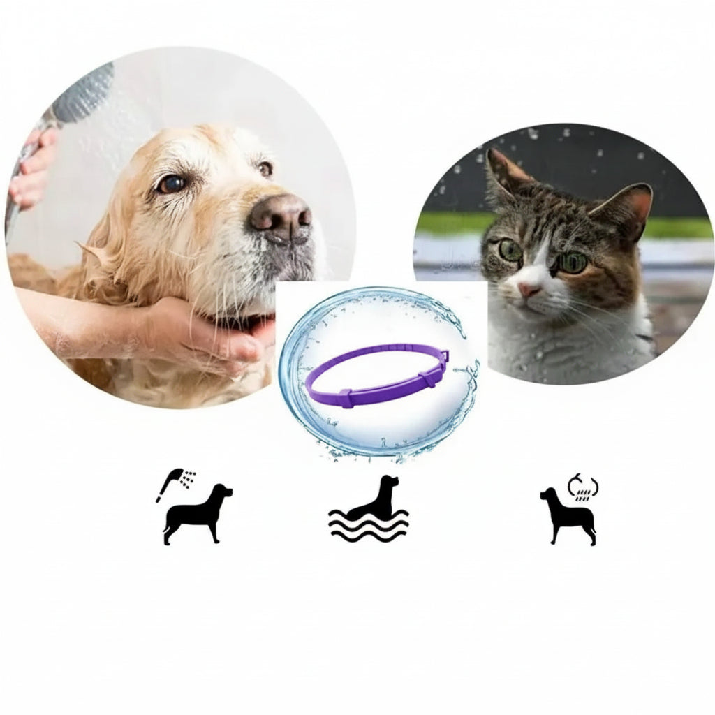 Collier Apaisant Anti-Stress pour Chien et Chat – Phéromones Naturelles, Ajustable, Sécurité Déclenchement Rapide