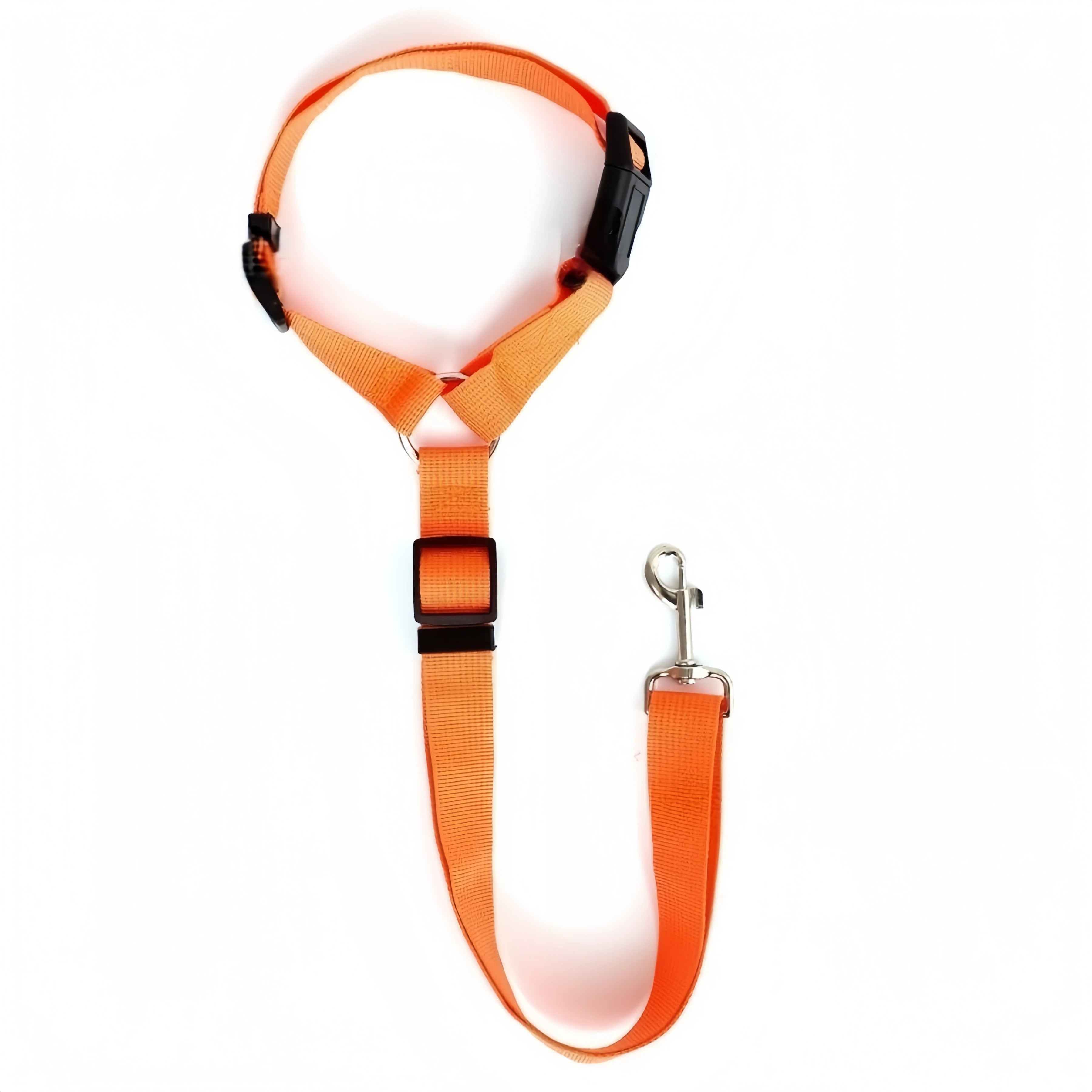 Ceinture Sécurité Voiture Chien – Fixation Universelle