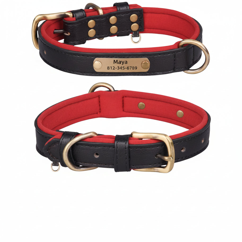 Collier Cuir Personnalisé Chien – Gravure Nom & Tél