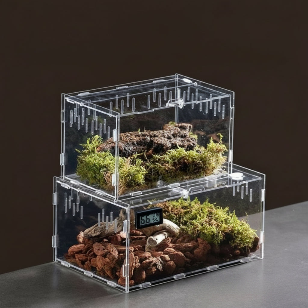 Habitat en Acrylique pour Reptiles et Arachnides - 3 Formats Disponibles