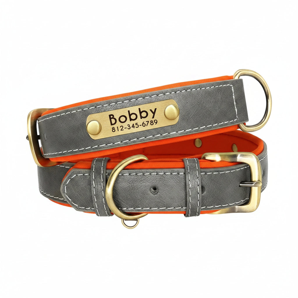 Collier Cuir Personnalisé Chien – Gravure Nom & Tél