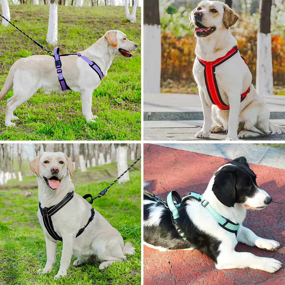 Harnais pour Chien Anti-Traction avec Poignée Renforcée – Confort & Sécurité | Anivarium