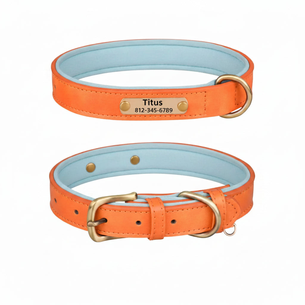 Collier Cuir Personnalisé Chien – Gravure Nom & Tél