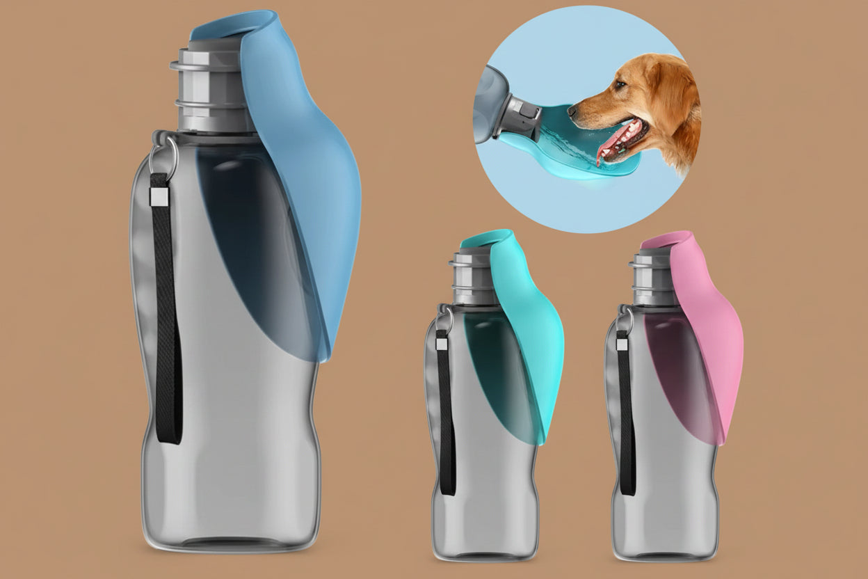 Gourde Chien 800ml – Grande Capacité Randonnée Balade