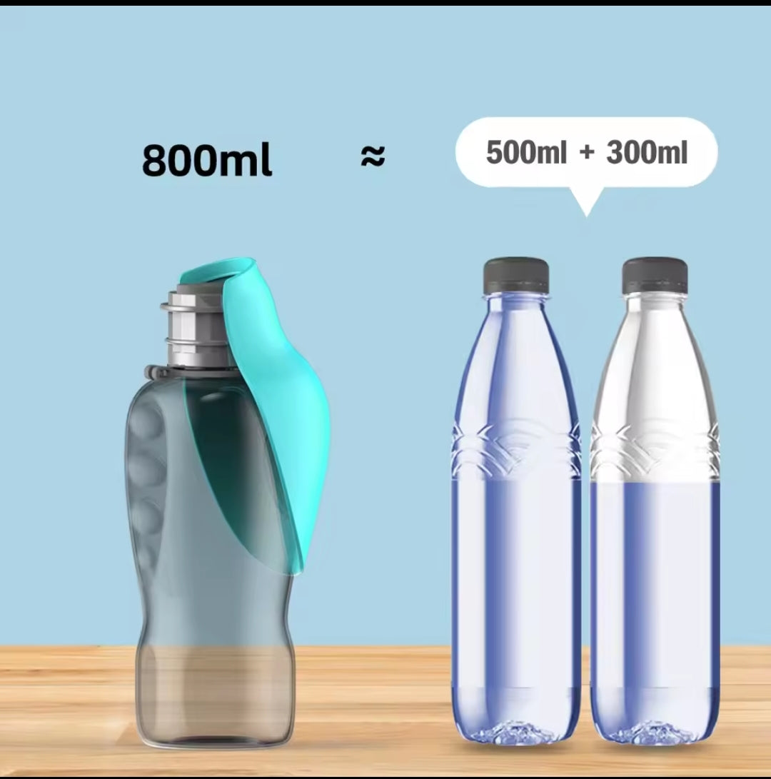 Gourde Chien 800ml – Grande Capacité Randonnée Balade