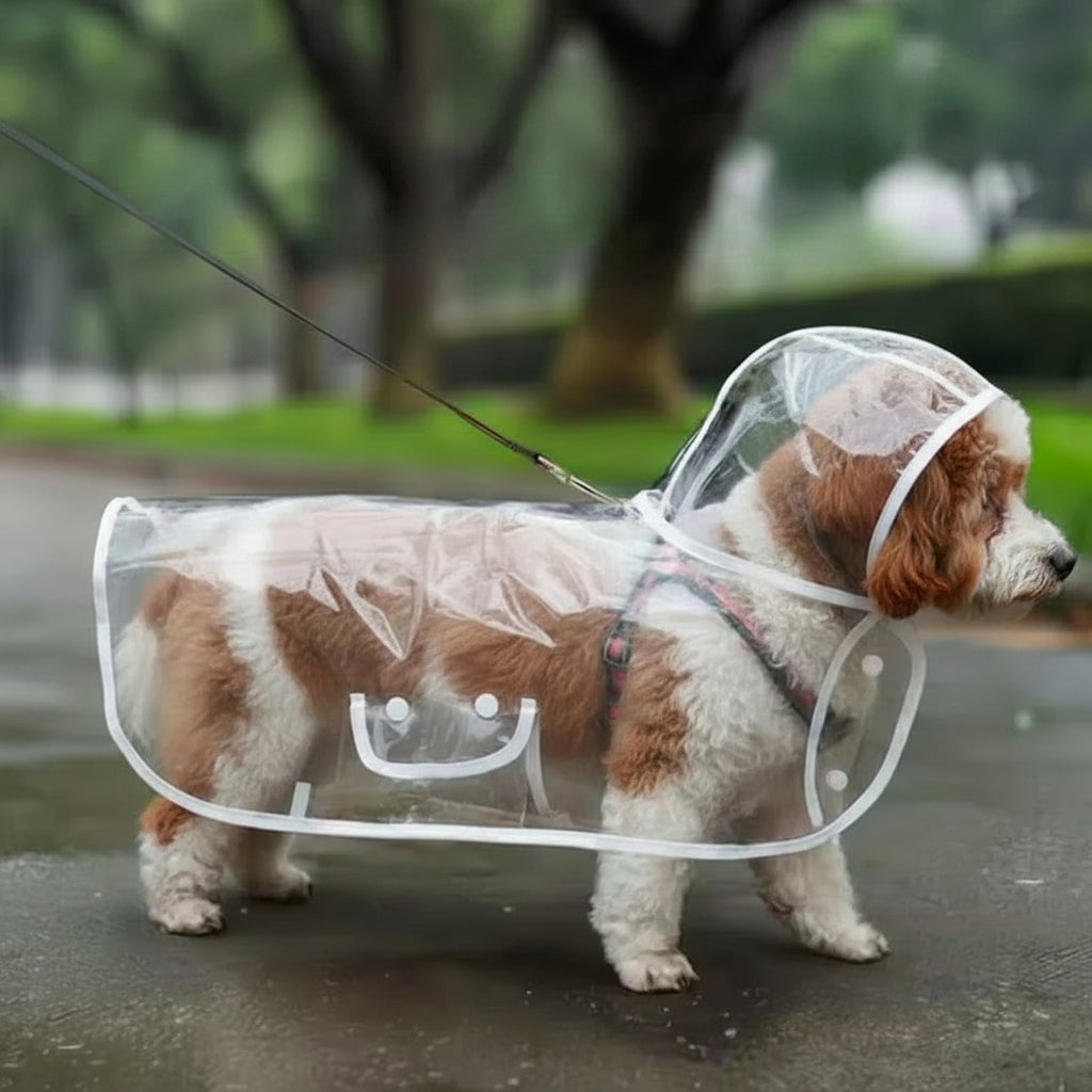 Veste Pluie Imperméable Chien – Légère & Confortable