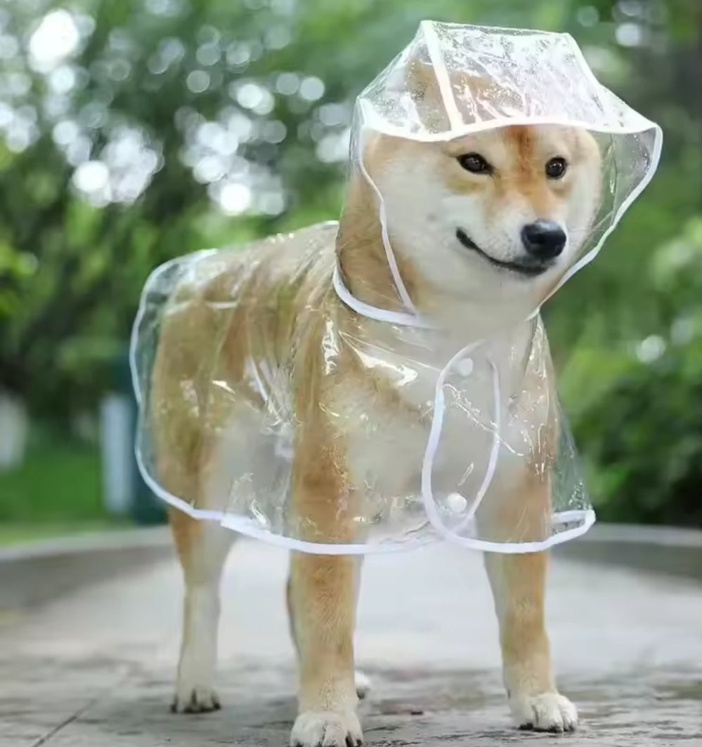 Veste Pluie Imperméable Chien – Légère & Confortable