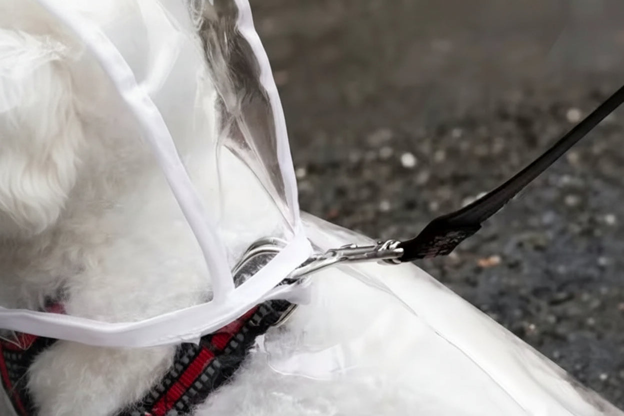 Veste Pluie Imperméable Chien – Légère & Confortable