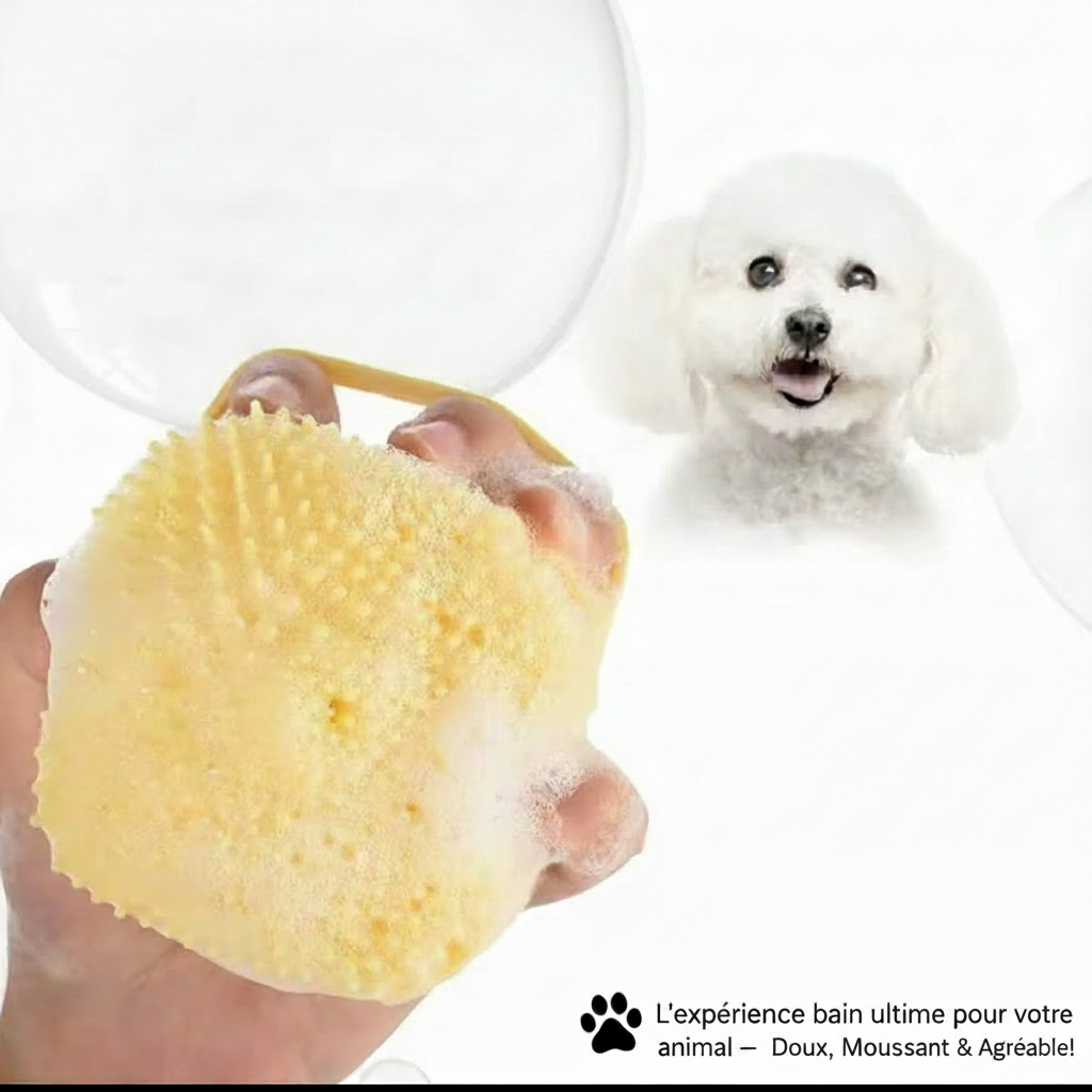 Brosse Bain Massante Chien Chat – Distributeur Shampoing