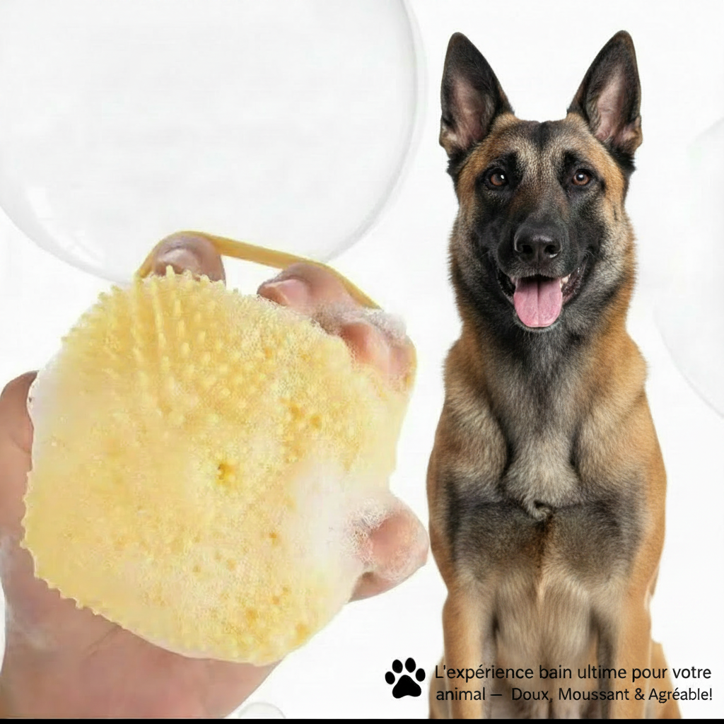 Brosse Bain Massante Chien Chat – Distributeur Shampoing