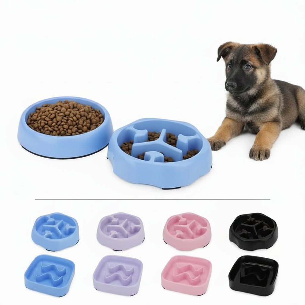 Bol Anti-Glouton Chien 15cm – Prévention Torsion Gastrique