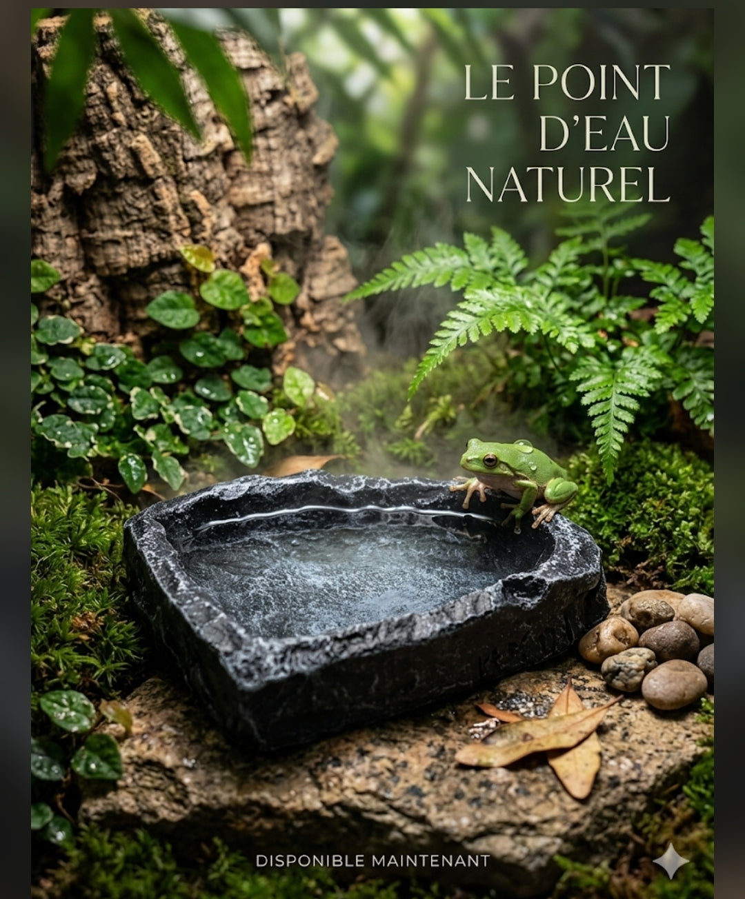 Récipient Décoratif Effet Roche Naturelle pour Terrarium & Vivarium