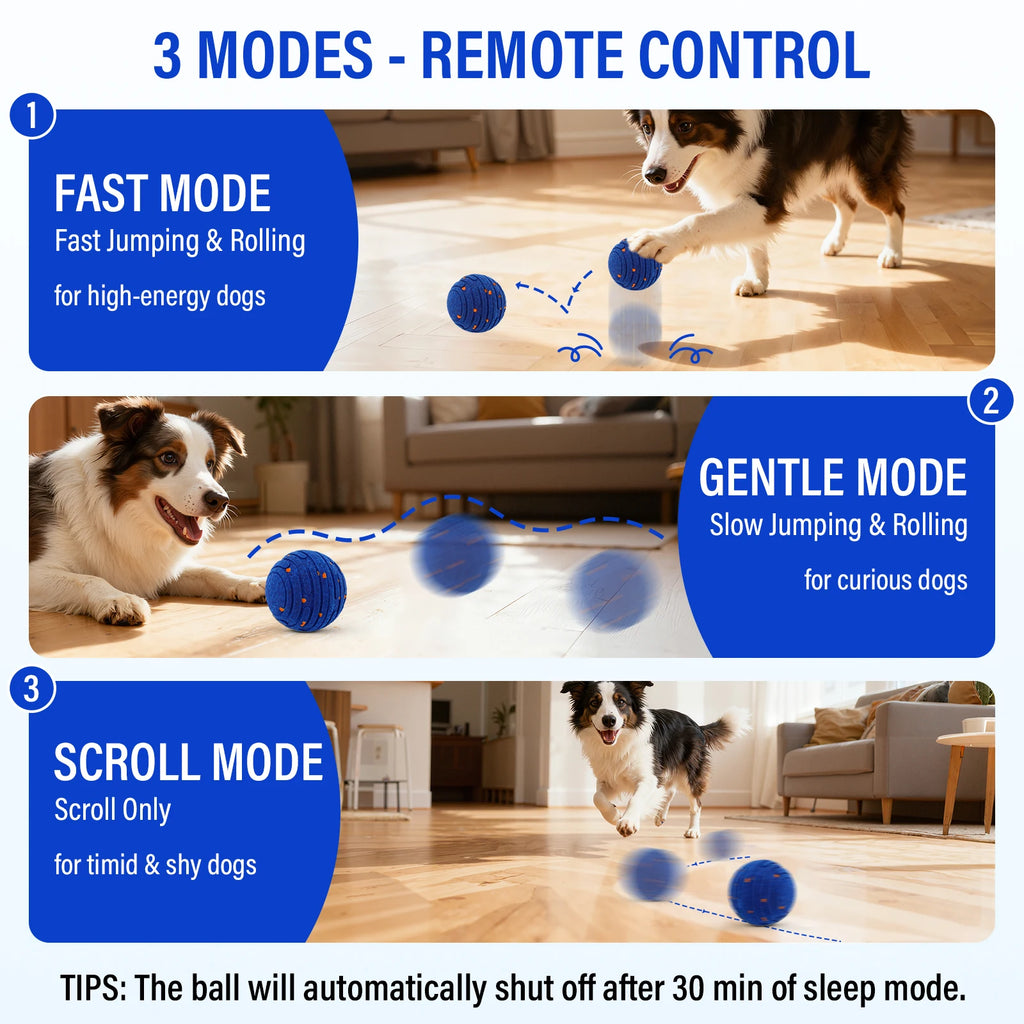 Balle Télécommandée Interactive pour Chien – E-TPU USB-C
