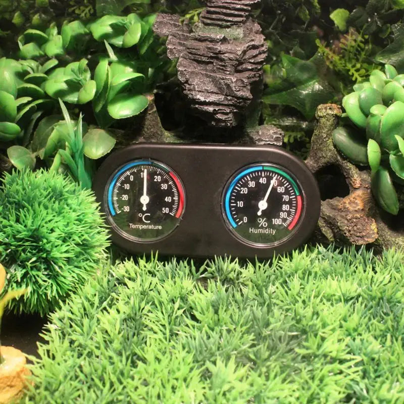 Thermomètre-Hygromètre Cadran Terrarium – Sans Pile Fiable
