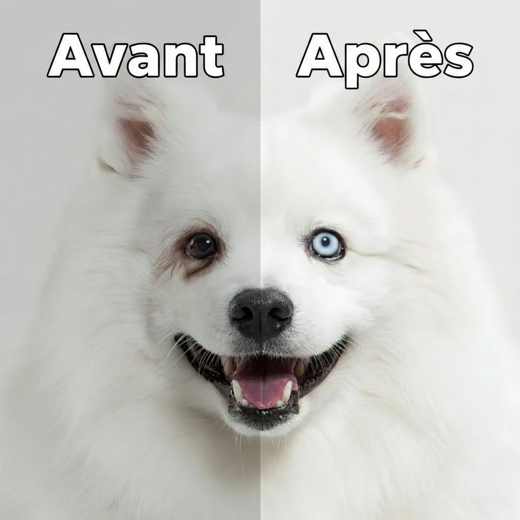 Lingettes oculaires nettoyantes douces – Soin anti-tâches pour chiens et chats