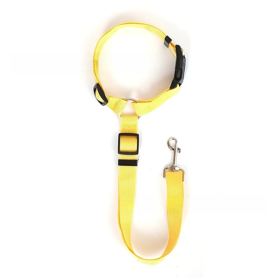 Ceinture Sécurité Voiture Chien – Fixation Universelle