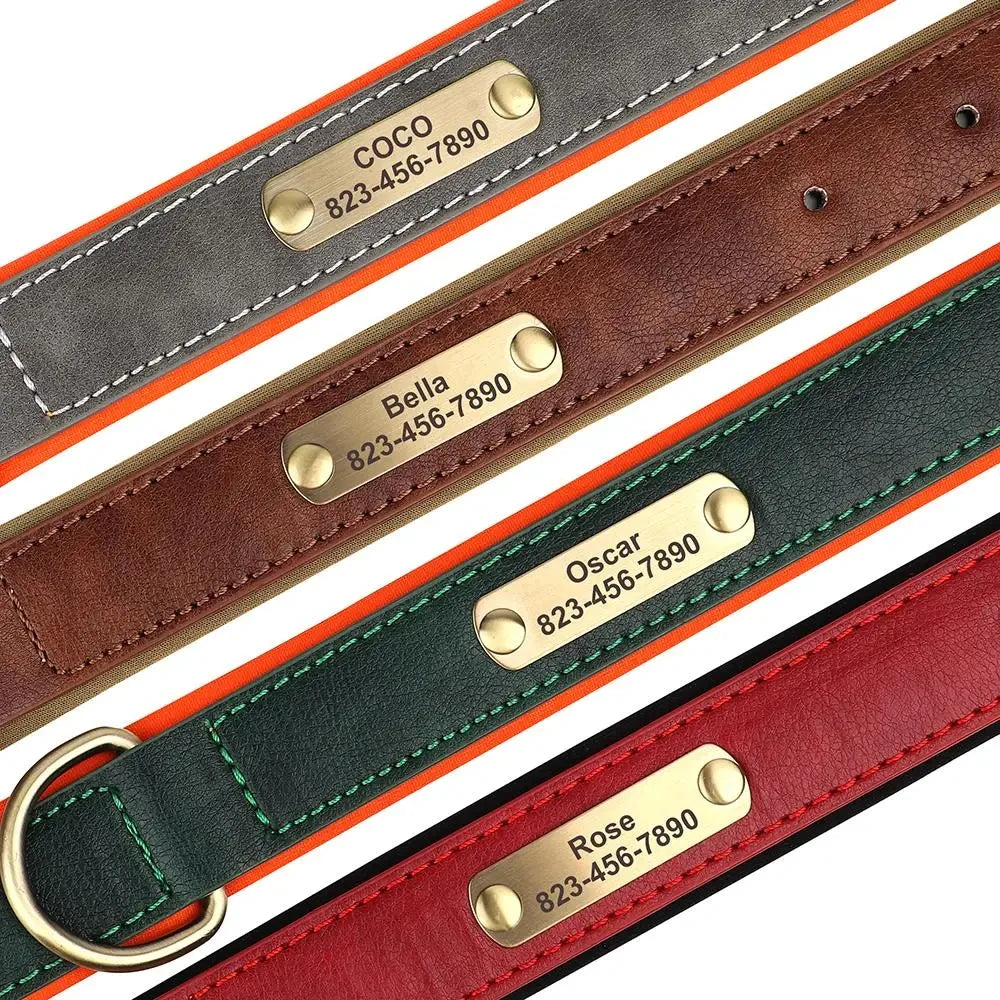 Collier Cuir Personnalisé Chien – Gravure Nom & Tél