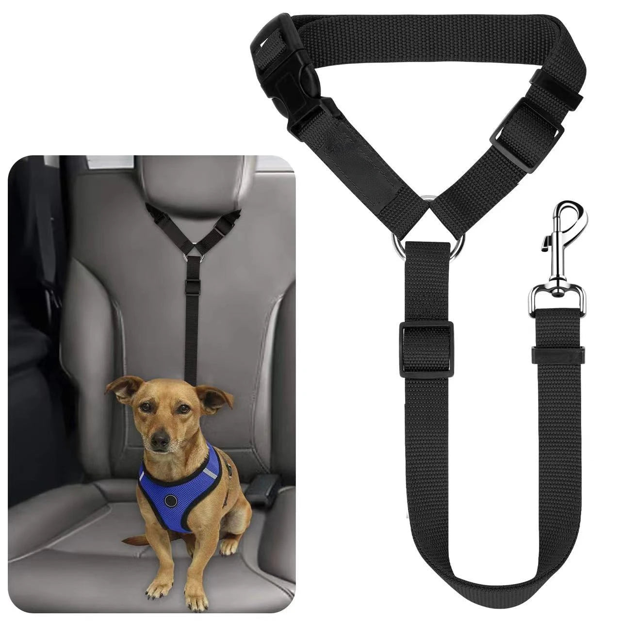 Ceinture Sécurité Voiture Chien – Fixation Universelle